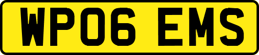 WP06EMS