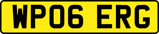 WP06ERG