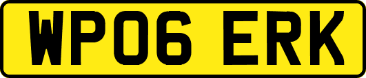 WP06ERK