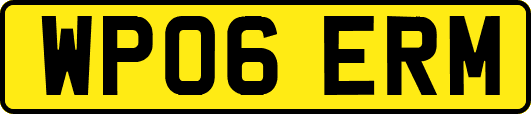 WP06ERM