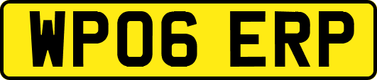 WP06ERP