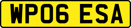 WP06ESA