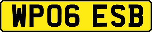 WP06ESB