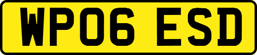 WP06ESD