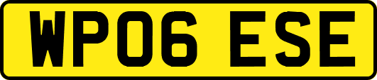 WP06ESE