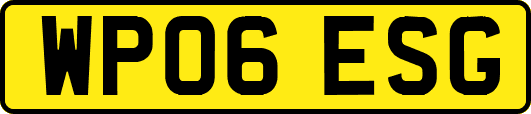 WP06ESG