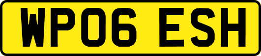 WP06ESH