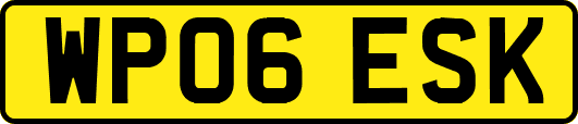 WP06ESK