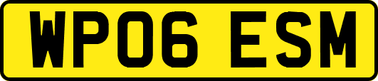 WP06ESM