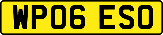WP06ESO