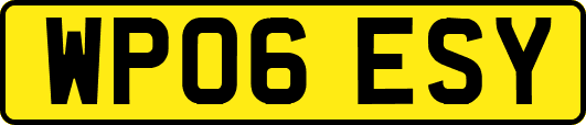 WP06ESY