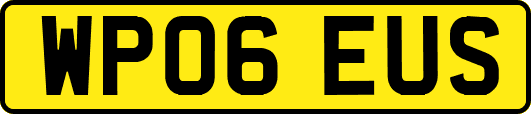 WP06EUS