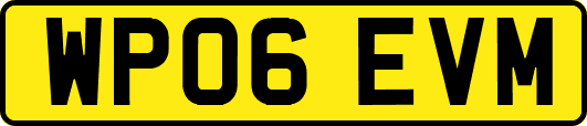 WP06EVM