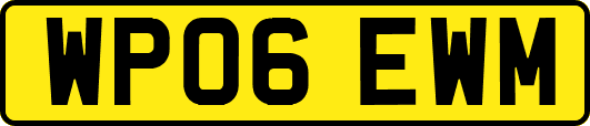 WP06EWM