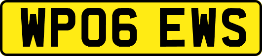 WP06EWS