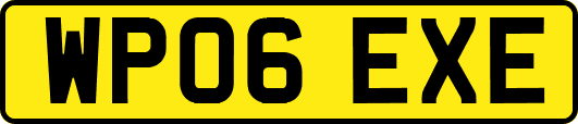 WP06EXE