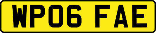 WP06FAE