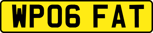 WP06FAT