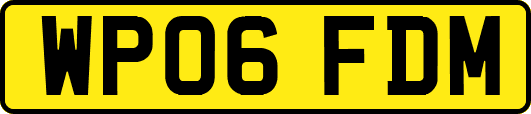 WP06FDM