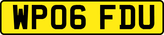 WP06FDU