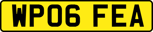 WP06FEA