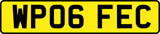 WP06FEC