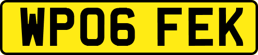 WP06FEK