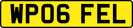 WP06FEL