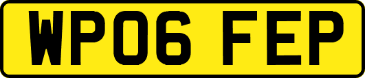 WP06FEP