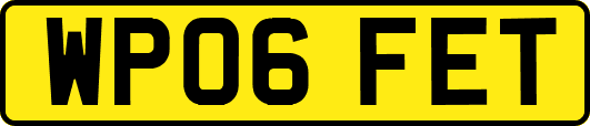 WP06FET