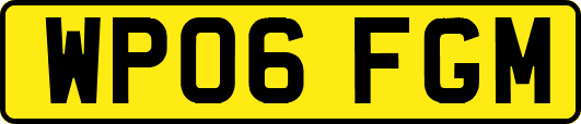 WP06FGM
