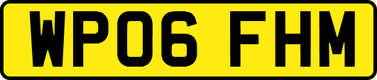 WP06FHM