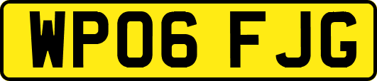 WP06FJG