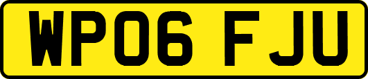 WP06FJU