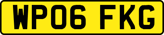 WP06FKG