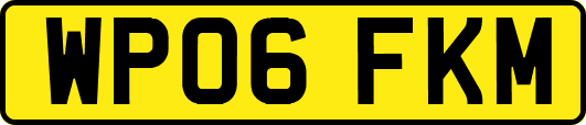 WP06FKM