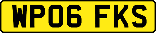 WP06FKS