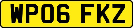 WP06FKZ