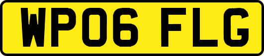 WP06FLG