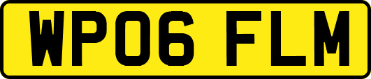 WP06FLM