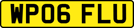 WP06FLU