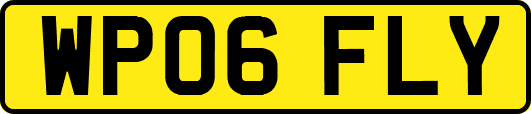 WP06FLY