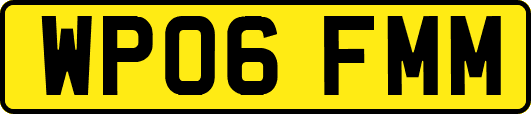 WP06FMM