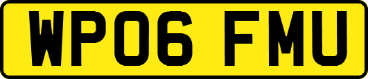 WP06FMU