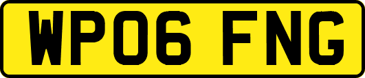 WP06FNG