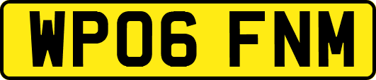 WP06FNM