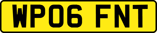 WP06FNT
