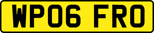 WP06FRO