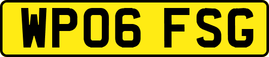 WP06FSG