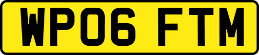 WP06FTM